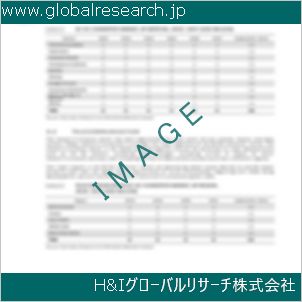 グローバルリサーチ調査資料のイメージ
